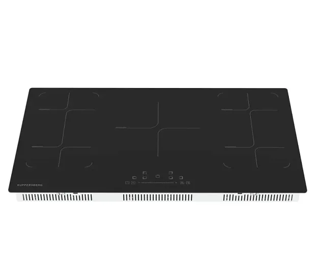 ICS 905 ICS 905